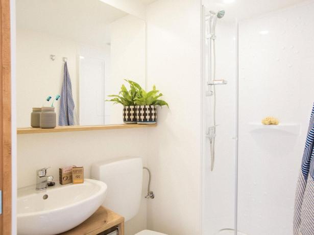 Modern bathroom with shower, sink, plants, and striped towels.